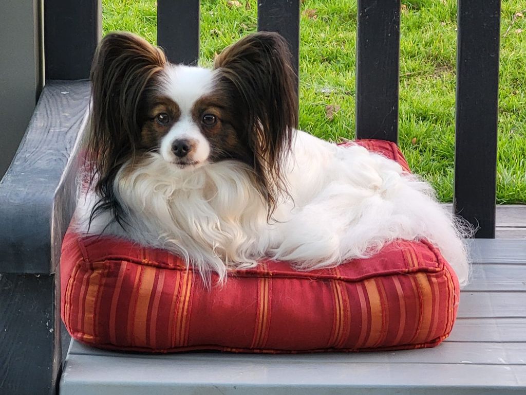 Bientôt des bébés !